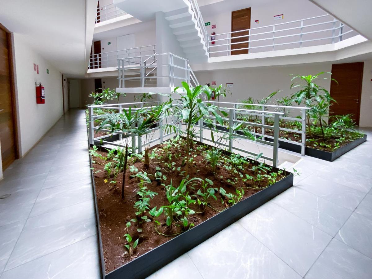 The Gallery Deluxe Apartment